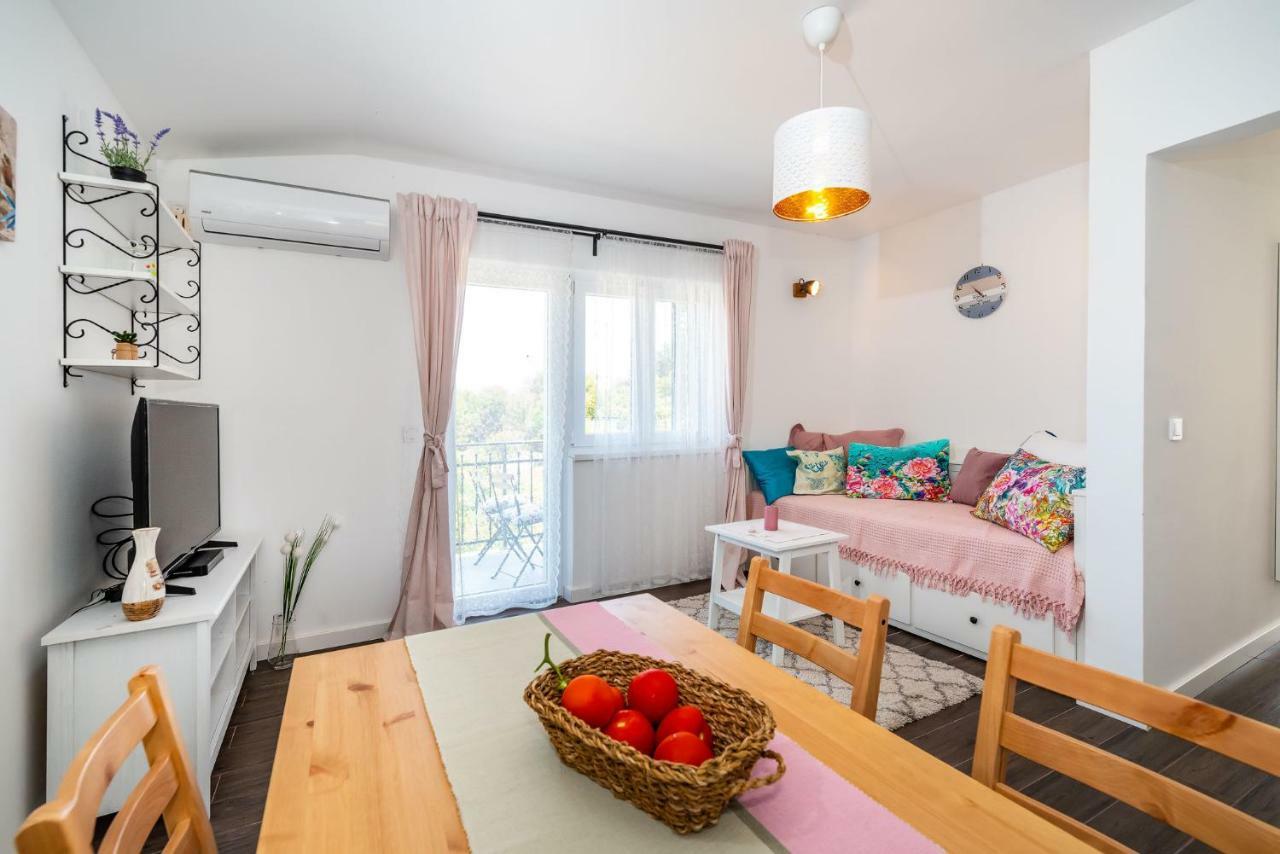 Vitez'S House Novigrad/Knight'S House Novigrad Apartment Novigrad  ภายนอก รูปภาพ